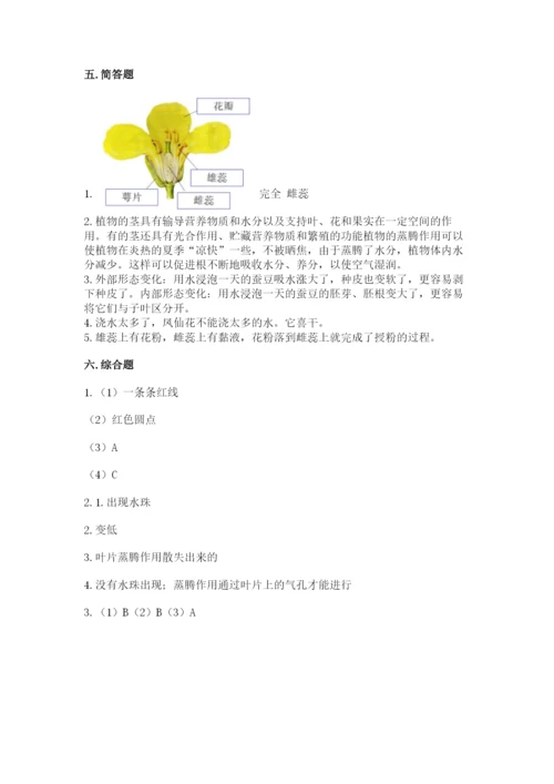 科学四年级下册第一单元《植物的生长变化》测试卷word.docx