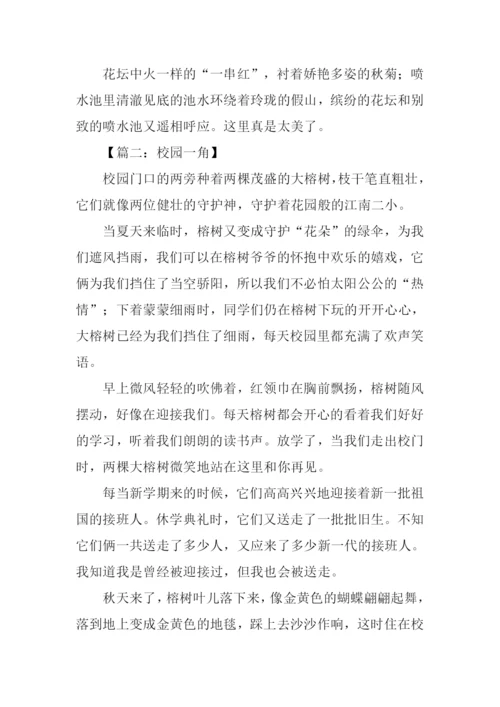 校园一角作文500字-1.docx