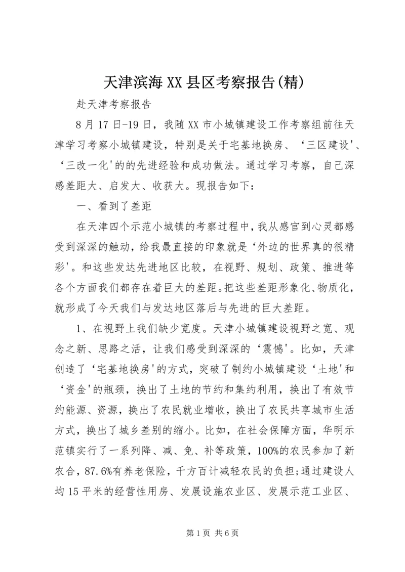 天津滨海XX县区考察报告(精).docx