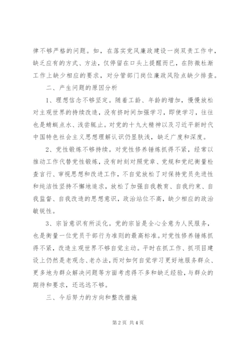 XX年度巡察整改专题民主生活会个人对照检查材料.docx