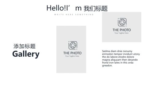 法律法学工作总结动态PPT