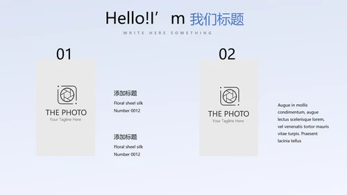 蓝色医疗医药代表工作总结动态PPT