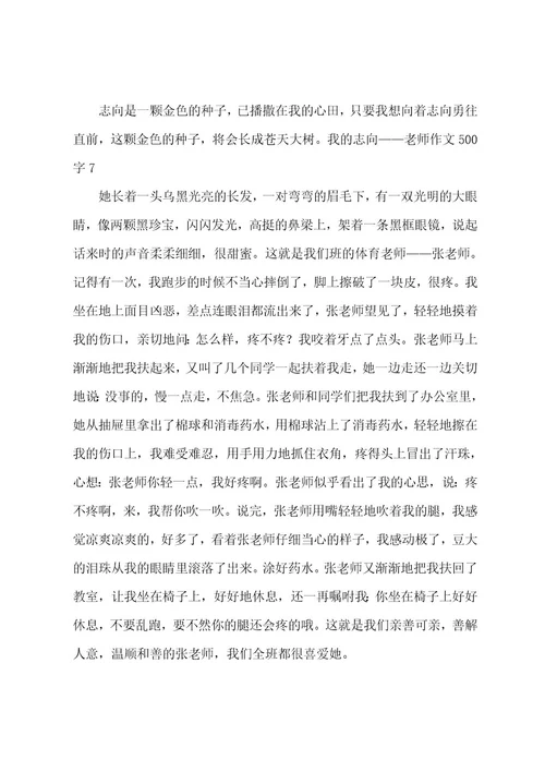 我的理想老师作文500字