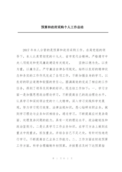 预算和政府采购个人工作总结.docx