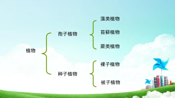 6.1.1 尝试生物进行分类八年级生物上册同步精品课件（人教版）(共30张PPT)