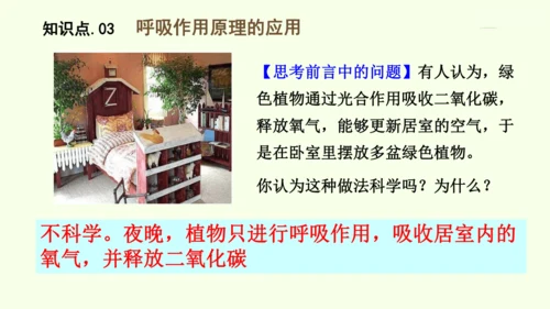 3.2.3呼吸作用-七年级生物下学期同步精品课件（2024人教版）(共24张PPT)