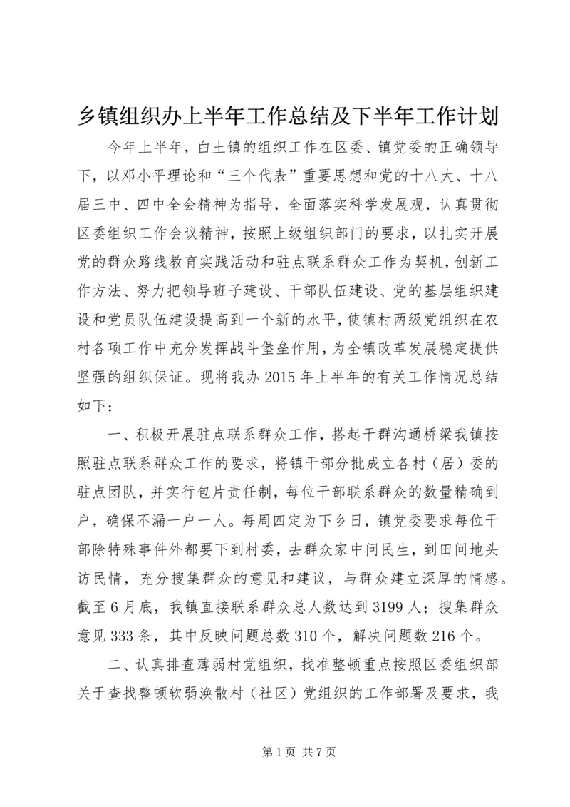 乡镇组织办上半年工作总结及下半年工作计划.docx