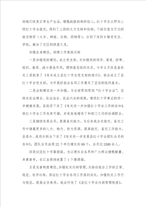 红十字会工作总结及计划