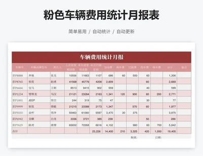 粉色车辆费用统计月报表