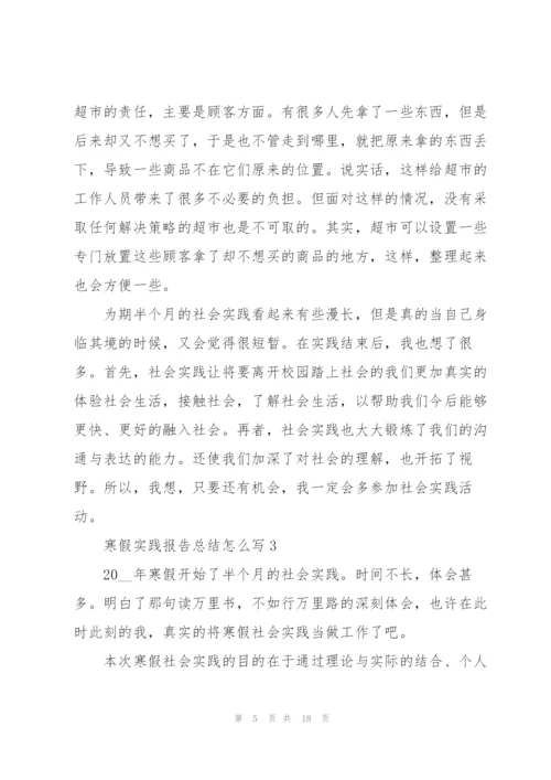 寒假实践报告总结怎么写.docx