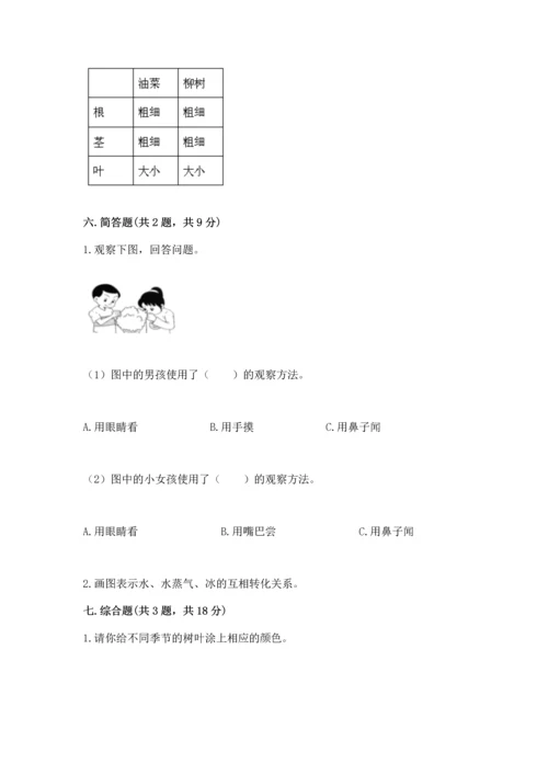 教科版科学一年级上册第一单元《植物》测试卷及完整答案一套.docx