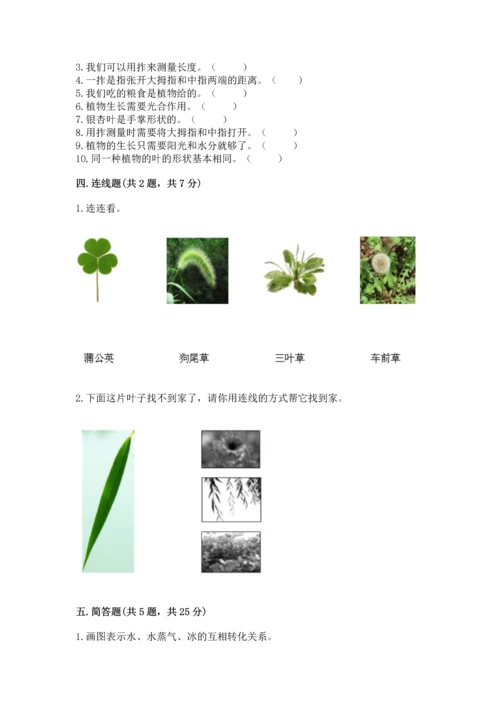 教科版一年级上册科学期末测试卷附答案（夺分金卷）.docx