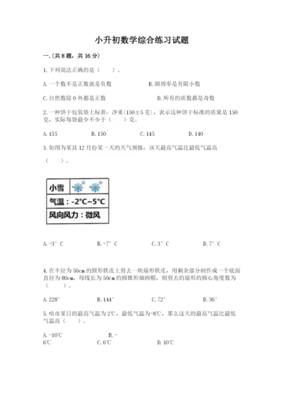 小升初数学综合练习试题（培优）.docx