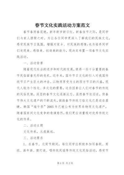 春节文化实践活动方案范文.docx