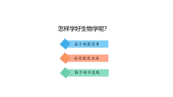 1.1.1 生物的特征 课件（共28张PPT）