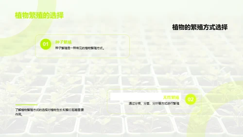 植物的奥秘世界