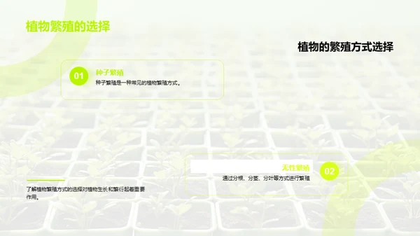 植物的奥秘世界