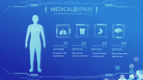 蓝色医疗科技信息化建设工作总结PPT