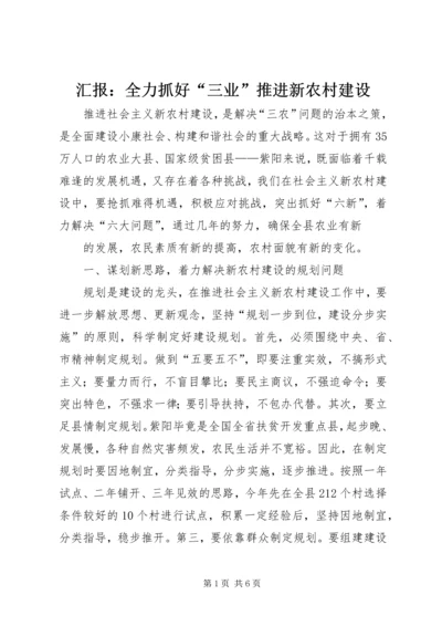 汇报：全力抓好“三业”推进新农村建设 (5).docx