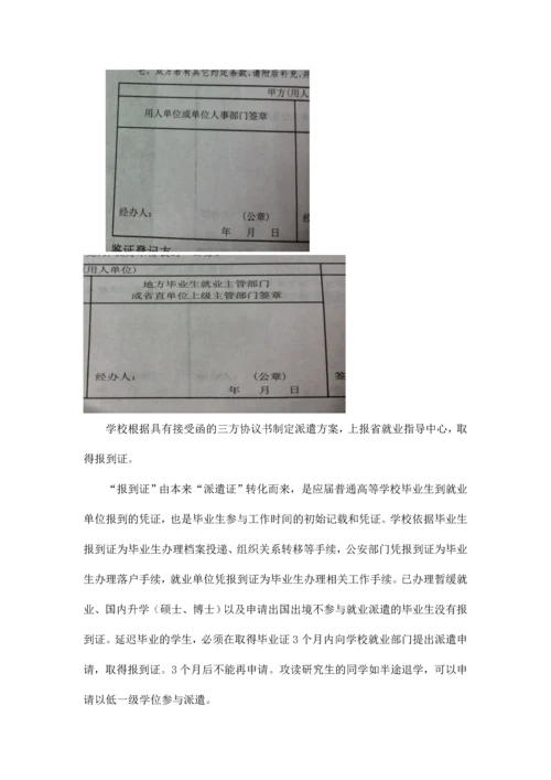 新版三方合同书接收函以及报到证的说明.docx