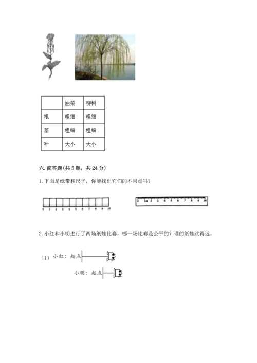 教科版小学一年级上册科学期末测试卷重点班.docx