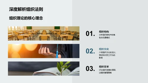 深度解析管理学