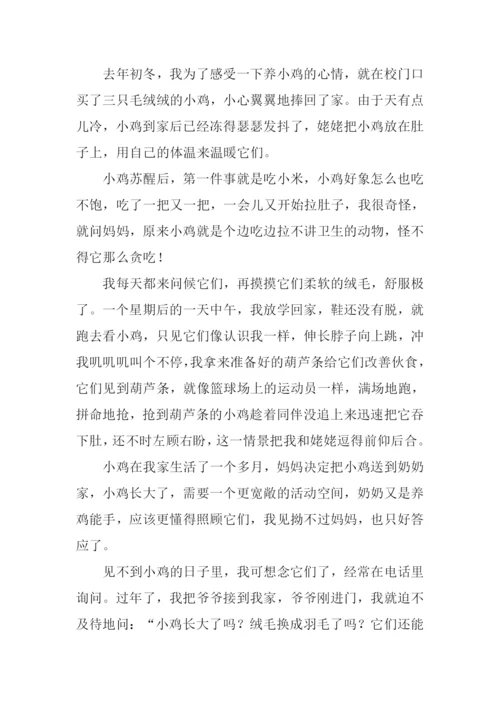 难忘的一件事作文-5.docx