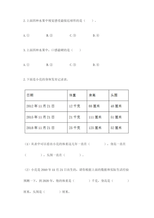 教科版小学科学二年级下册期末测试卷（精华版）.docx