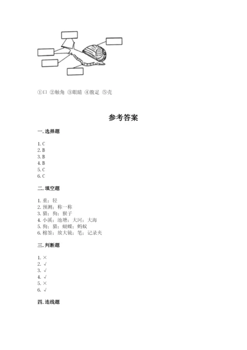 教科版一年级下册科学期末测试卷（考点梳理）.docx