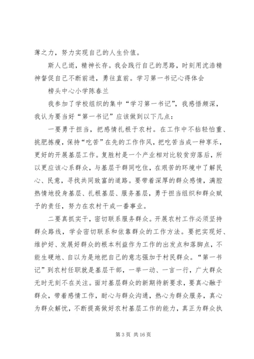 学习第一书记心得体会 (4).docx