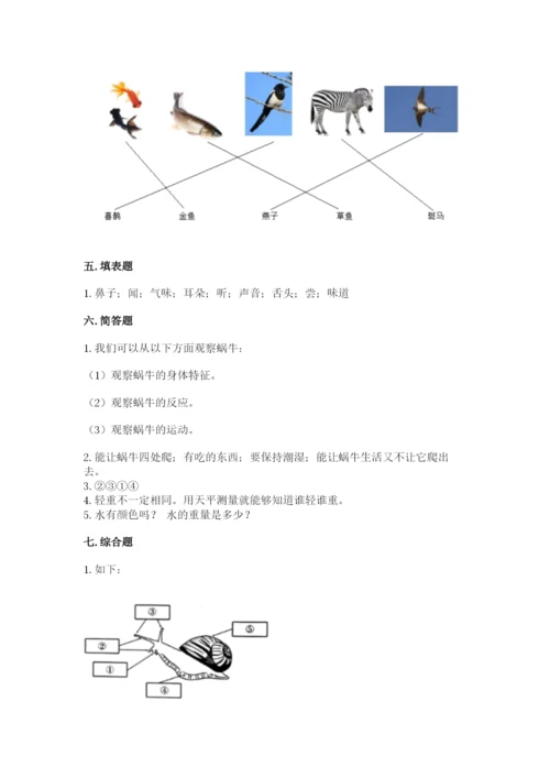 教科版小学科学一年级下册期末测试卷【考点精练】.docx