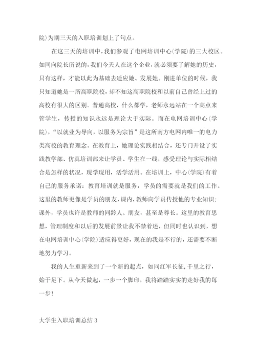 大学生入职培训总结.docx