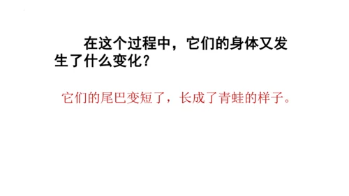 1《小蝌蚪找妈妈 》课件
