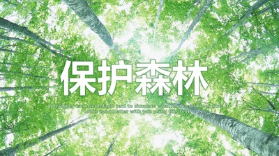 绿色环保森林湿地森林日植树造林动态PPT模