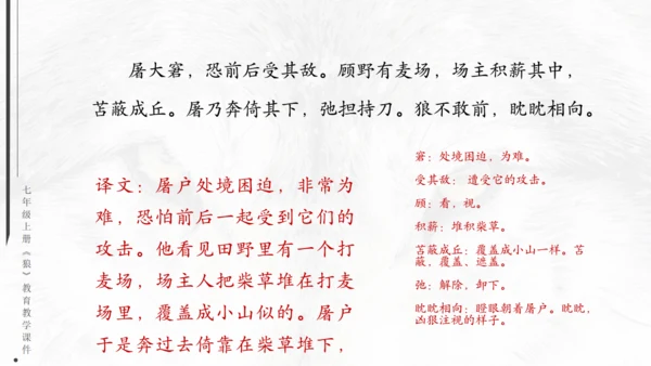 七年级《狼》蒲松龄通用PPT课件