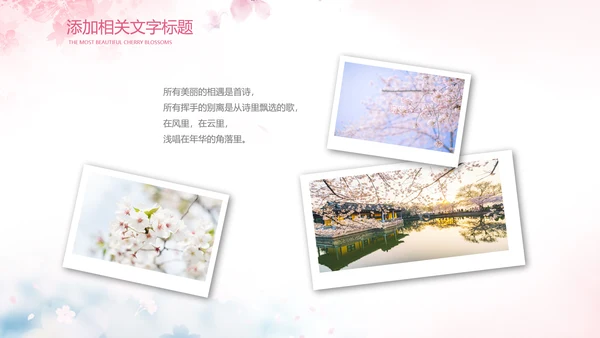 唯美浪漫十里桃花开樱花节樱花季桃花ppt