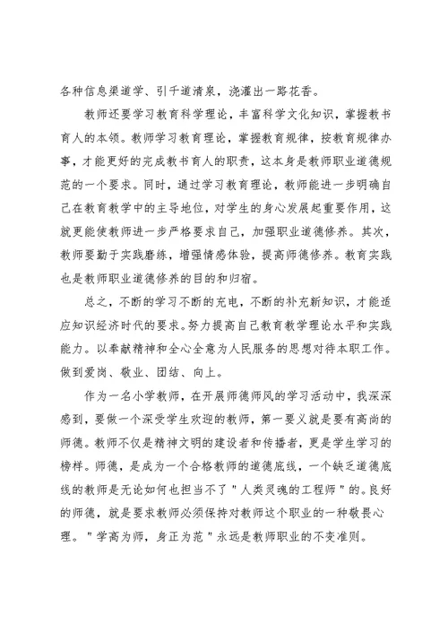 小学教师师德师风学习心得体会20xx(共13页)