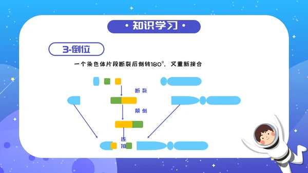 人教版生物《染色体变异》PPT课件