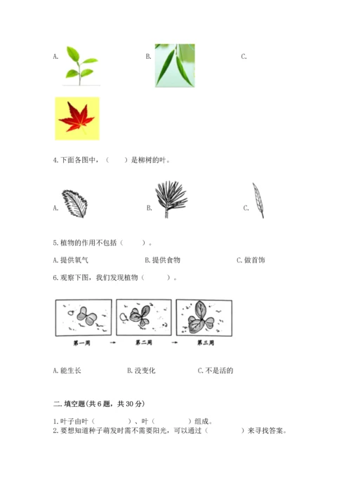教科版科学一年级上册第一单元《植物》测试卷（综合题）word版.docx