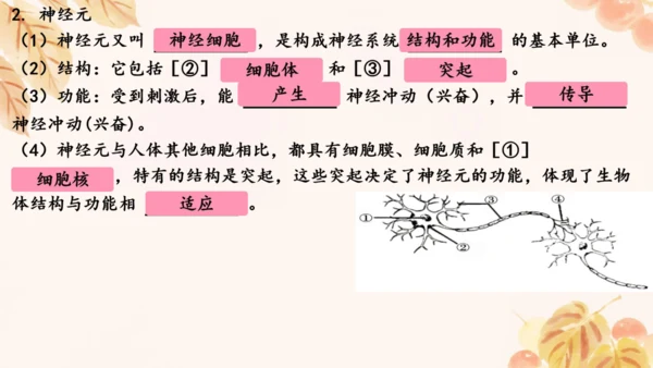 第四单元第五、六章复习课件(共33张PPT)人教版七年级下册