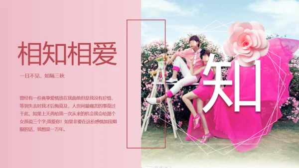 我们结婚啦浪漫婚礼520粉色婚礼相册通用PPT模板