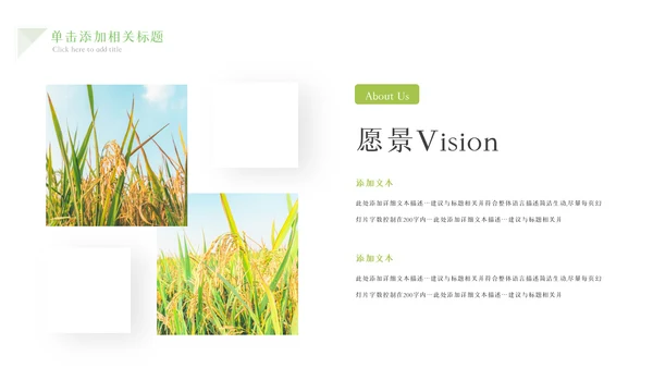 绿色农业生产春耕三农乡村振兴稻田水稻PPT