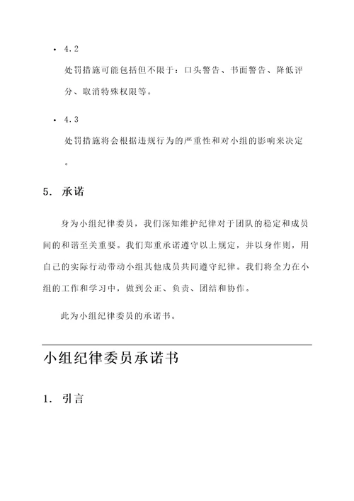 小组纪律委员承诺书
