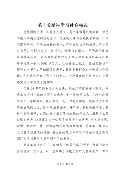 毛丰美精神学习体会精选.docx