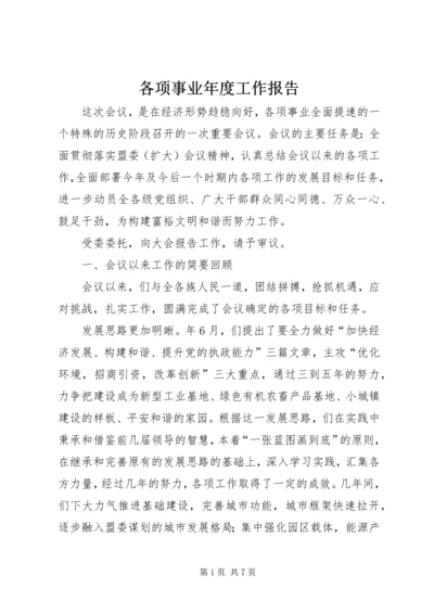 各项事业年度工作报告.docx