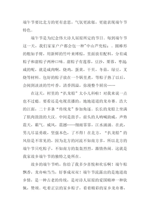 家乡的端午作文.docx