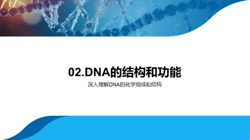 DNA：揭示生命奥秘