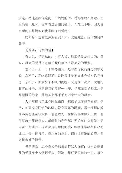 妈妈的爱作文800字-5.docx