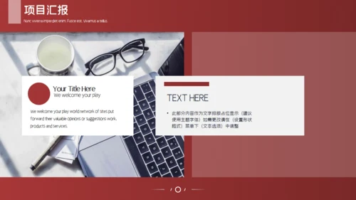 金融业投资者项目通用PPT模板