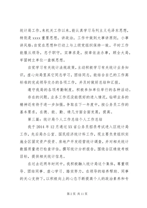 统计局个人工作计划(精选多篇)精编.docx